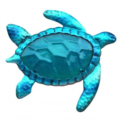 Schildkröte 5659
